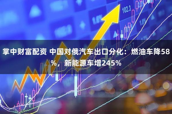 掌中财富配资 中国对俄汽车出口分化:燃油车降58%,新能源车增245%